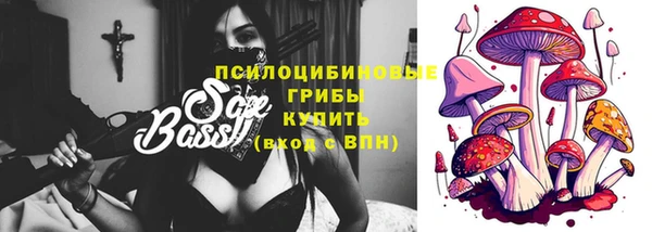 ПСИЛОЦИБИНОВЫЕ ГРИБЫ Остров