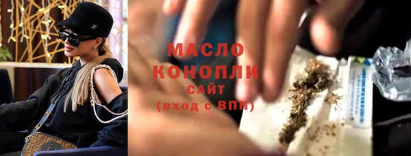 гашик Няндома
