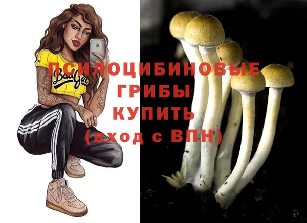 ПСИЛОЦИБИНОВЫЕ ГРИБЫ Осташков